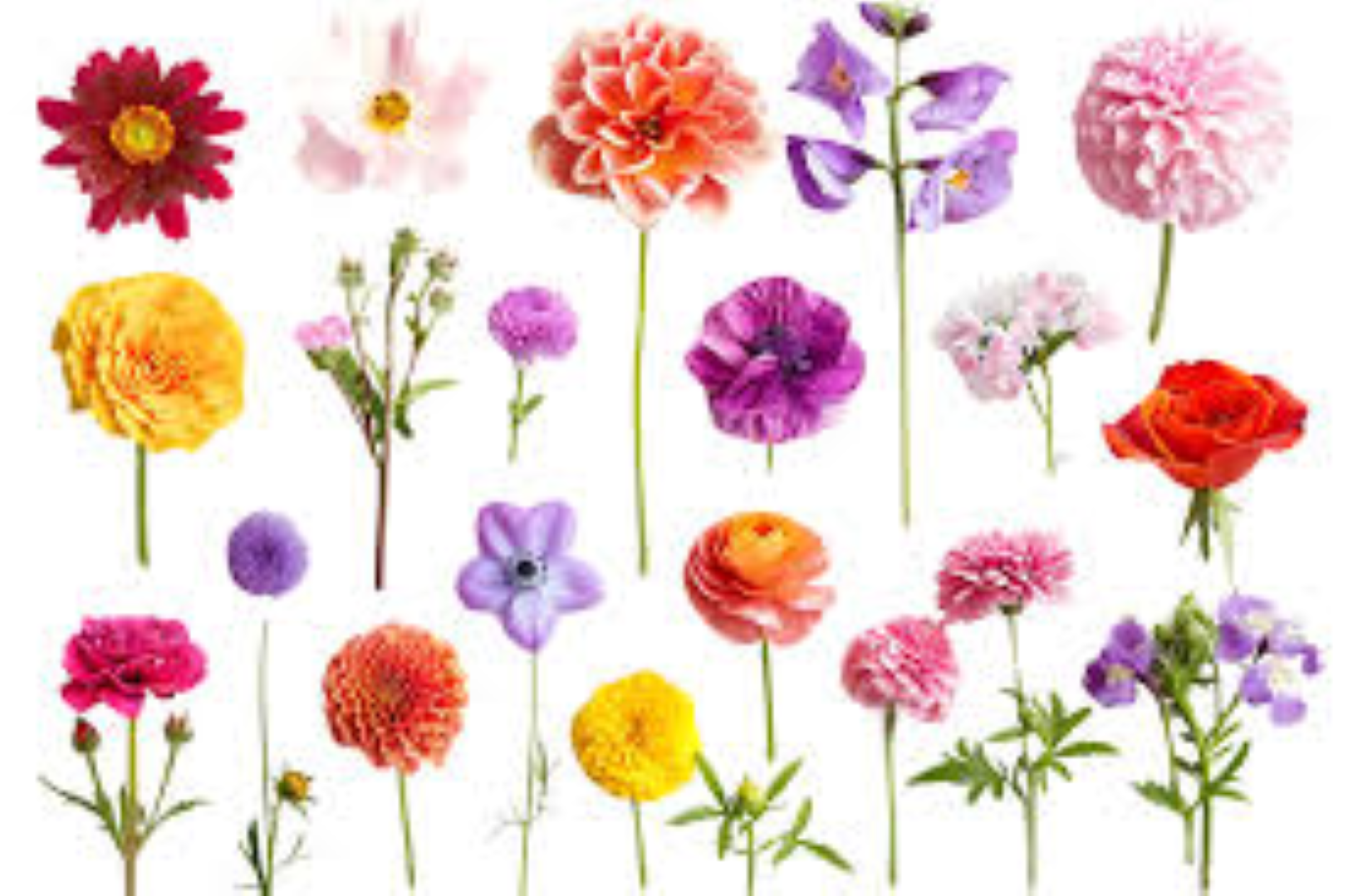ROPIL FLORAL REFIL PACK
